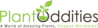 PlantOddities